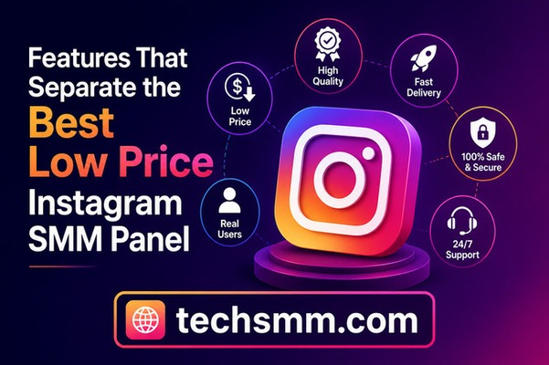 Low Price Instagram SMM Panel for Resellers & Businesses